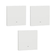 Schneider Electric AvatarOn C Switch With Fluorescent Locator E8731L2F, 1 Gang, 16Ax 250 V 2 Way